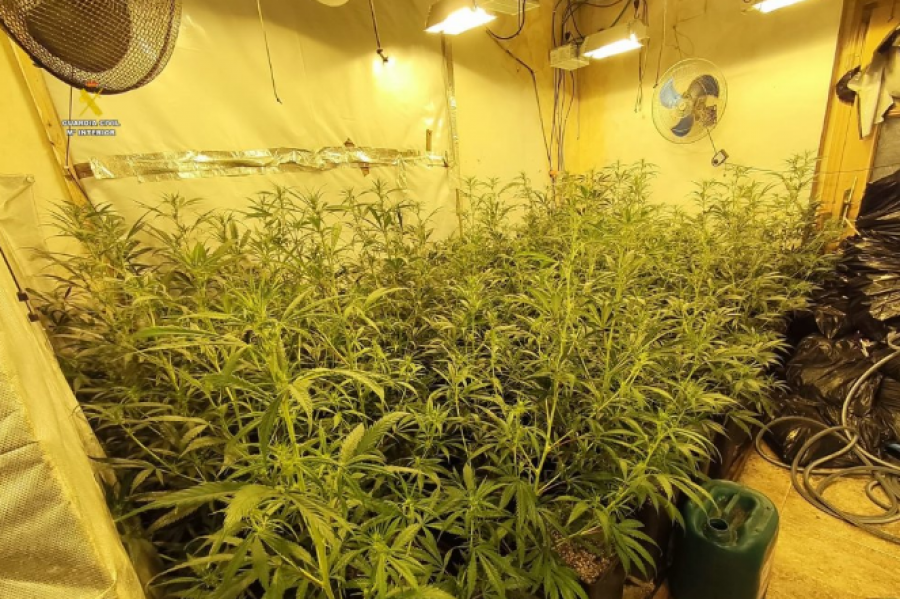 Mbushën Barcelonën dhe Terragonën me marijuanë, shkatërrohet banda e shqiptarëve