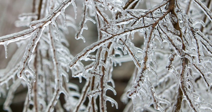 Pas shiut vjen bora, IHMK: Nga nesër ulje e temperaturave, rrezik nga ngricat