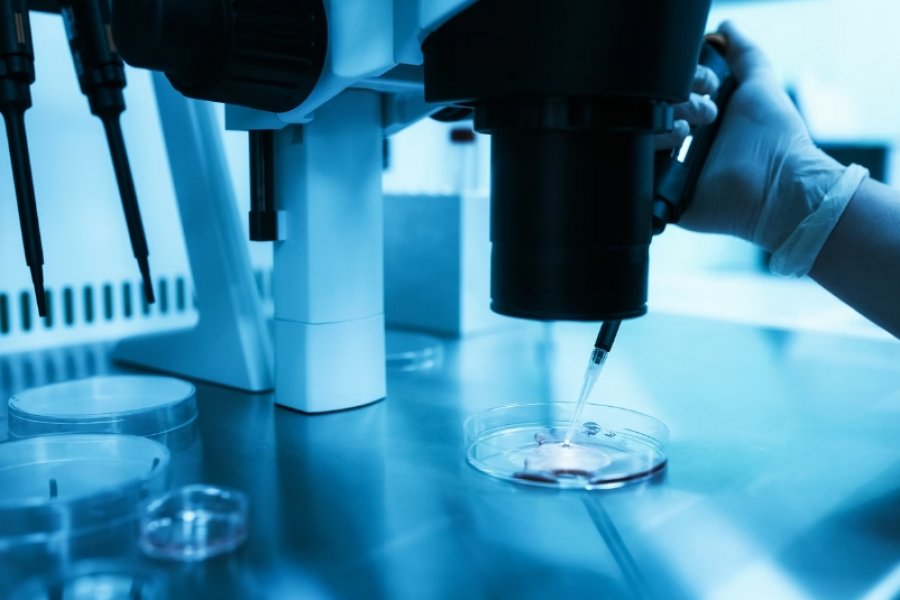 Studimi: Ripërtëritja e qelizave te vezët jep shpresë për suksesin e fertilizimit in vitro tek të moshuarit