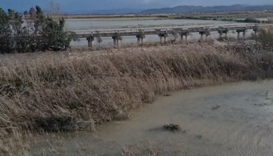 Pogradec/ Evakuohen 5 familje, shkak shkarja e dherave dhe vërshimi i ujit të lumit Verdovë