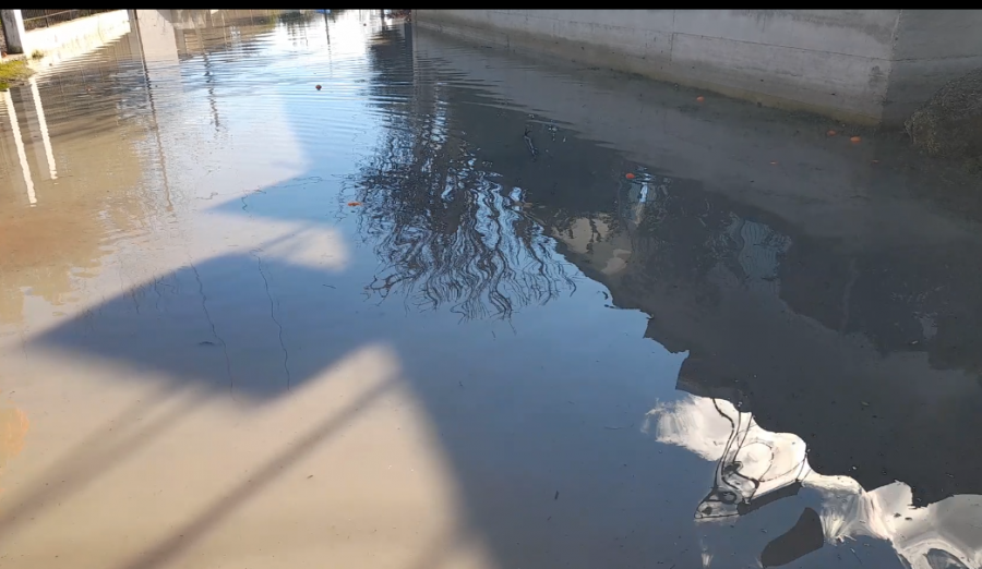 Përmbytje në Dimal dhe Kuçovë, dhjetëra banesa dhe toka nën ujë