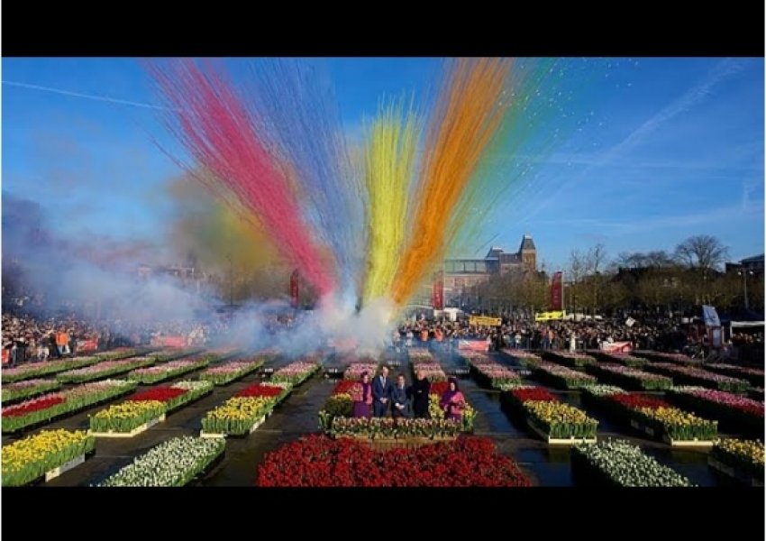 Dita Kombëtare e Tulipanëve në Holandë: 200,000 tulipanë u shpërndanë në Amsterdam