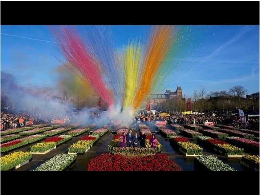 Dita Kombëtare e Tulipanëve në Holandë: 200,000 tulipanë u shpërndanë në Amsterdam