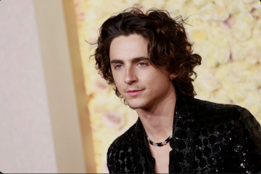 Timothée Chalamet shkruan histori me nominimin e tretë për Oscar