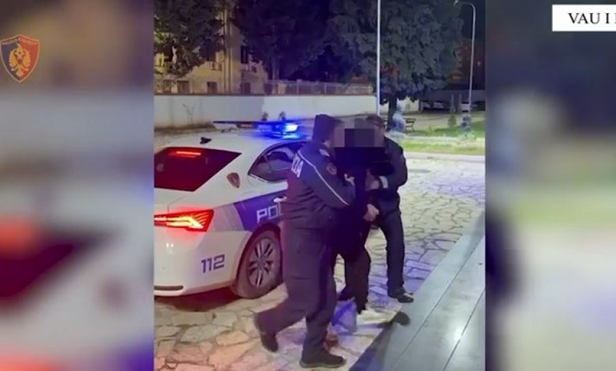 Iu gjetën fara kanabisi në lokal, arrestohet pronari 70-vjeçar në Vaun e Dejës