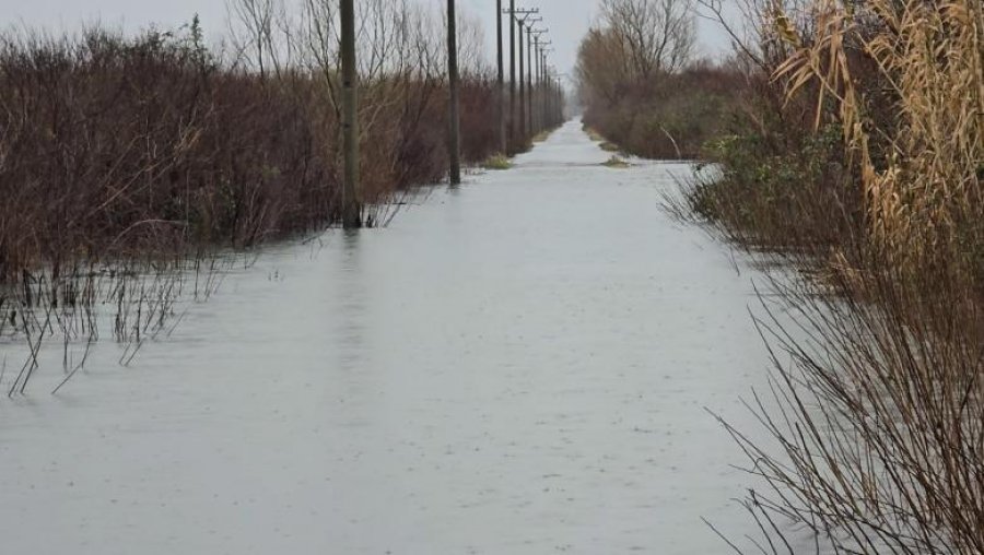 Shkodër/ Punimet e ujësjellësit në fshatin Bleran, banorët: Na shkatërruan rrugën dhe uji nuk vjen