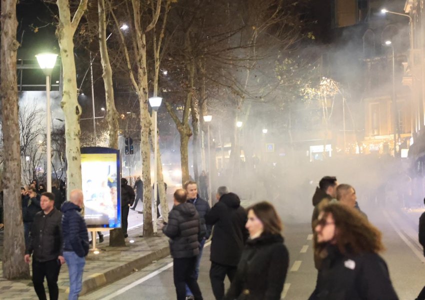 Protesta Kombëtare/ 25 të arrestuar, Policia provokoi qytetarët paqësorë me gaz lotsjellës e ujë me piper
