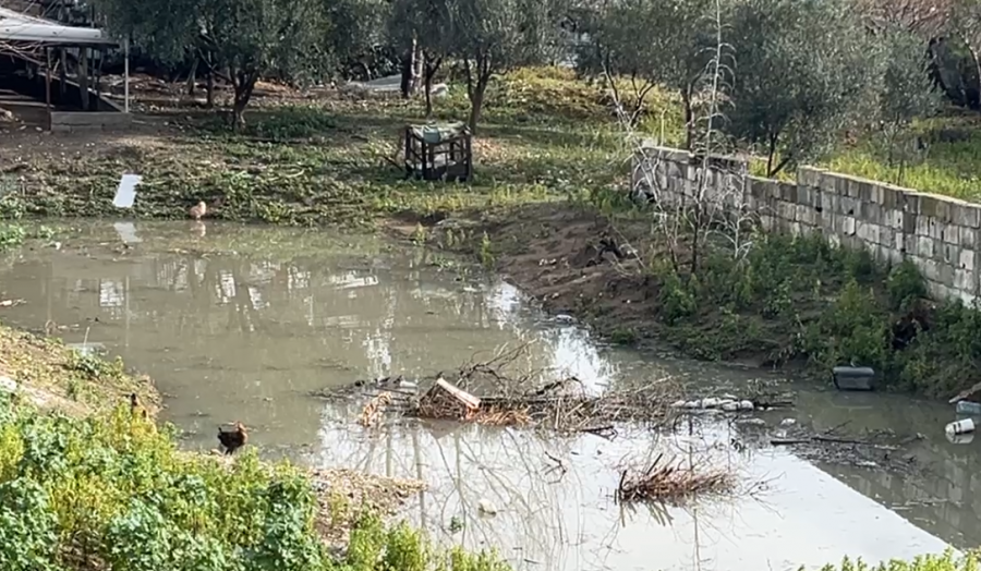 'Vlora rrezikon përmbytje sa herë bie shi', banorët: Vetëm një pompë e hidrovorit funksionon, kërkojmë riparimin e 3 të tjerave