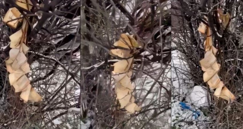 Djegia e Kuranit në Gjakovë, policia nis hetimet