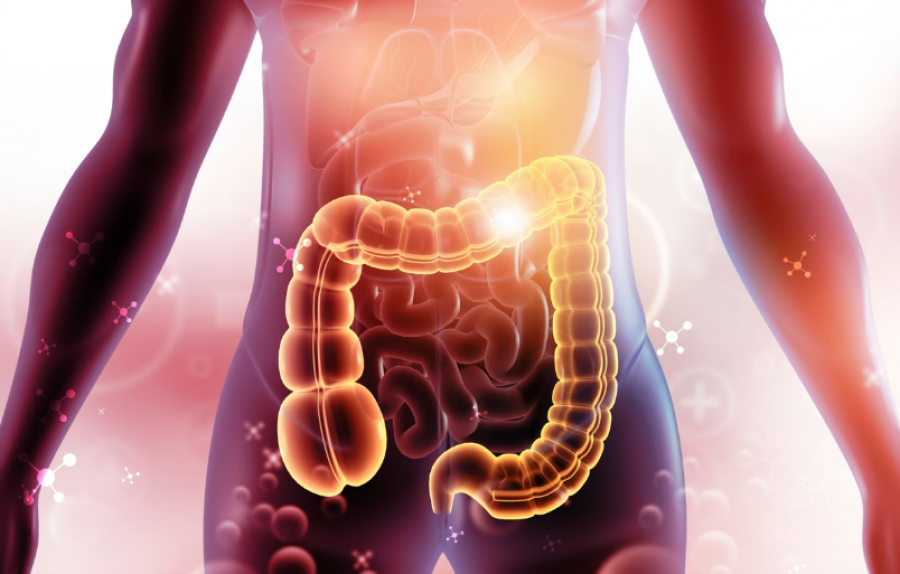 Pija më e mirë për shëndetin e zorrëve, sipas gastroenterologëve
