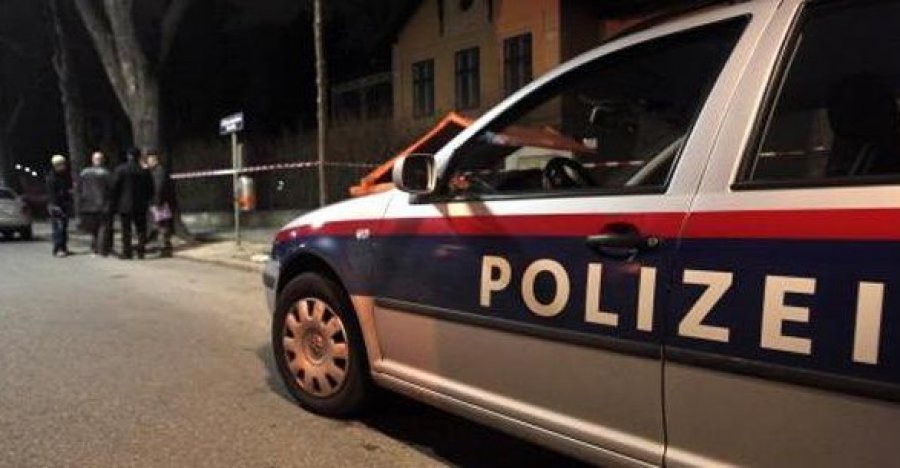 Tragjike/ Nëna vret me thikë djalin e saj 12-vjeçar në Austri