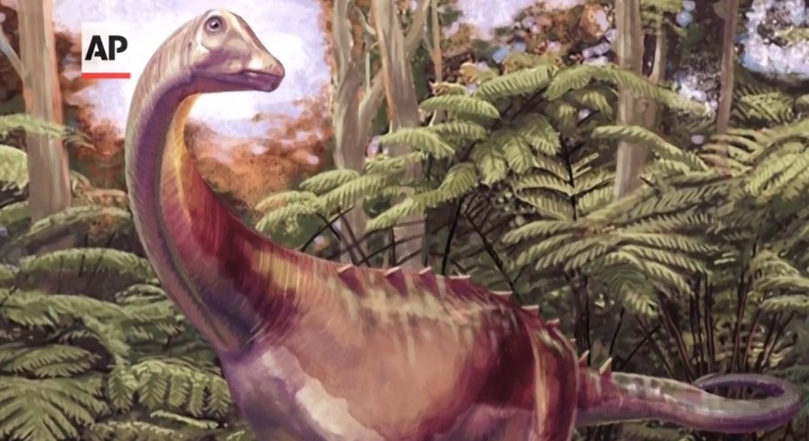 Fosili i rrallë i një dinosauri nga Antarktida gjendet i fshehur...në sirtar
