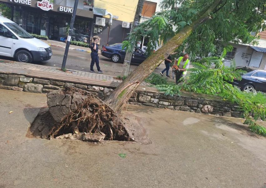 Stuhia me erëra të forta shkakton dëme në Elbasan, rrëzohen dy pemë dhe dëmtohet një shtyllë tensioni