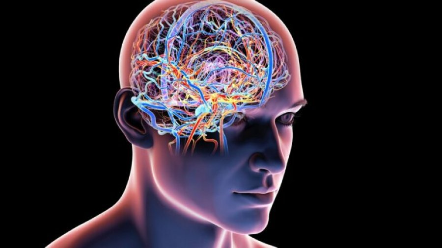 Shkencëtarët kombinojnë dy vitamina  krijohet një përbërje që mund të ndihmojë rigjenerimin e trurit