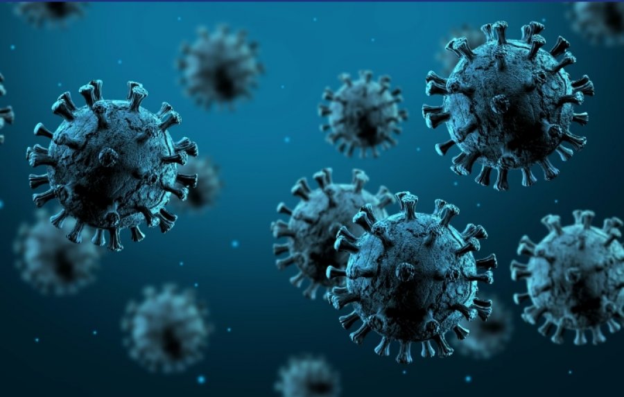 OBSH: Epidemia e Hantavirusit ka mbaruar
