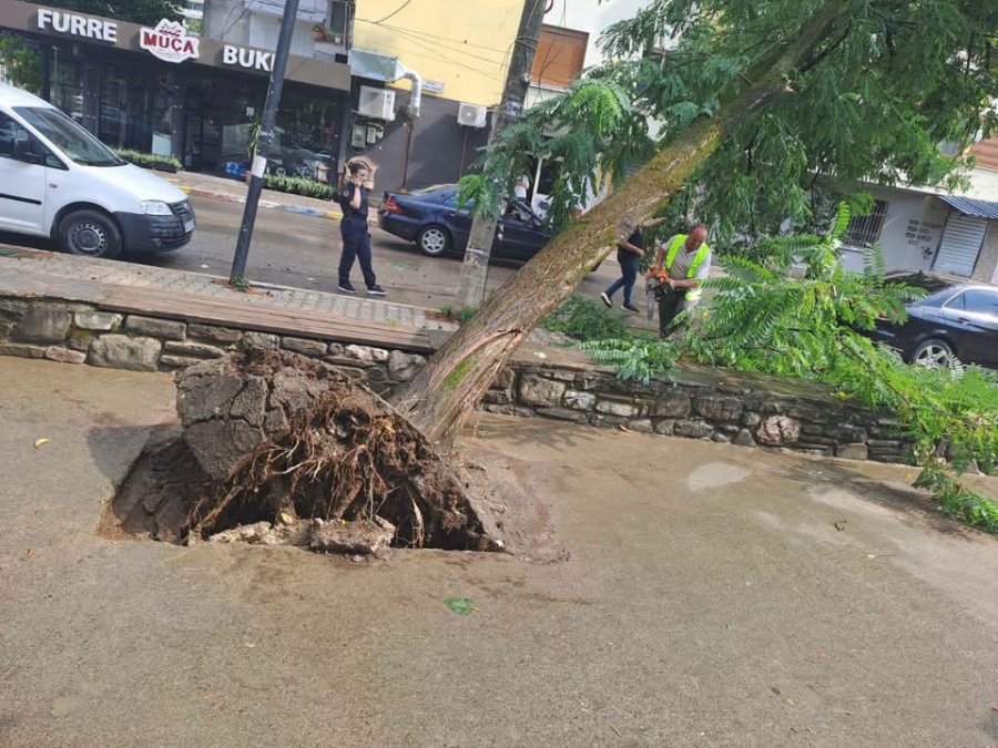 Stuhia me erëra të forta shkakton dëme në Elbasan, rrëzohen dy pemë dhe dëmtohet një shtyllë tensioni