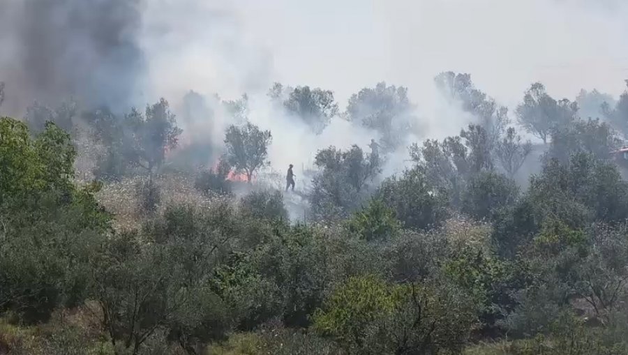 Zjarr i fuqishëm pranë ish Azotikut në Fier  era favorizon përhapjen e flakëve