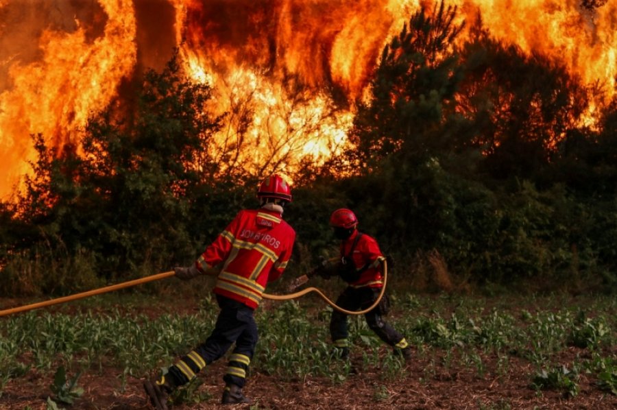 Zjarre të mëdha përfshinë Greqinë dhe Portugalinë