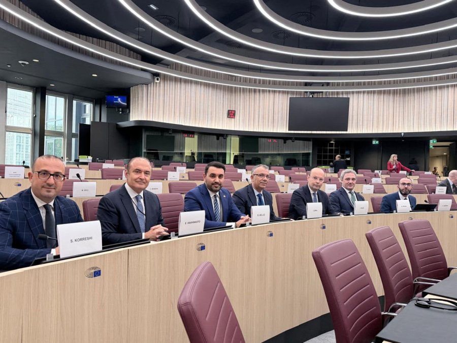 Nuk ka konsensus për rezolutën e PE/ Eurodeputetët mbështesin amendamentet e PD, PS i refuzon