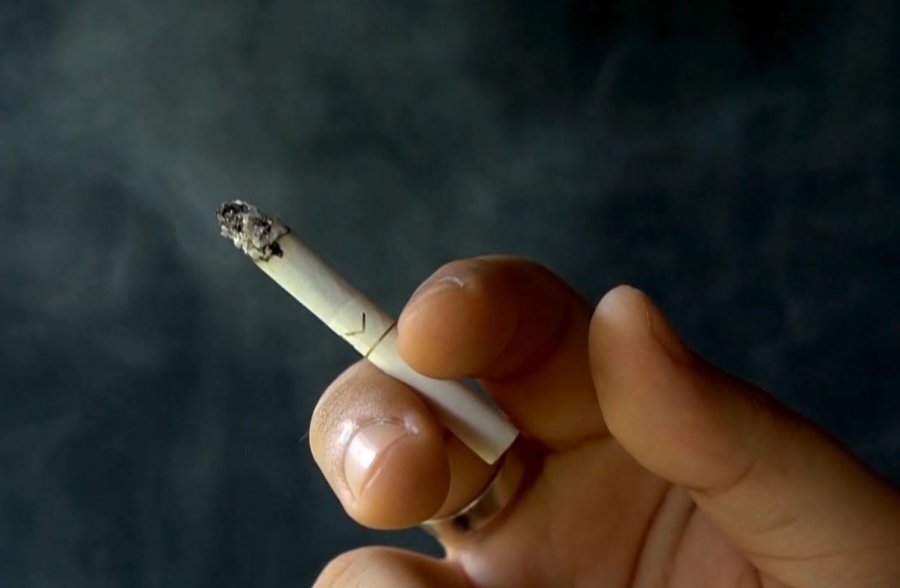 Goditet rrjeti i kontrabandës së duhanit, sekuestrohen 20 milionë cigare në Europë