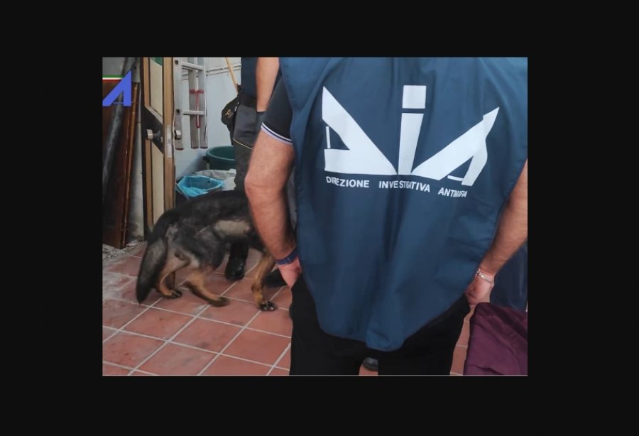 Detaje nga operacioni/ Droga nga Shqipëria drejt Italisë me autobusë linje, gra dhe të mitur si korrierë: 23 arrestime