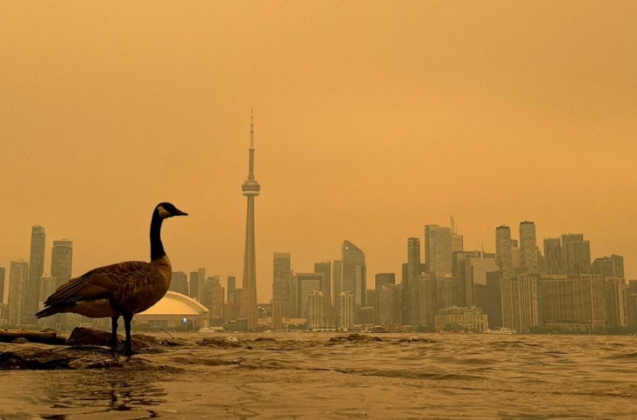Zjarret në pyje kërcënojnë cilësinë e ajrit në Kanada dhe SHBA: Toronto po bëhet i verdhë