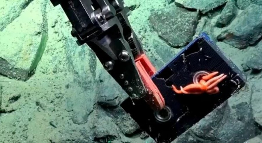 Zbulim i pazakontë në Atlantik  Studiuesit gjejnë kasetë VHS të paprekur në 2640 metra thellësi