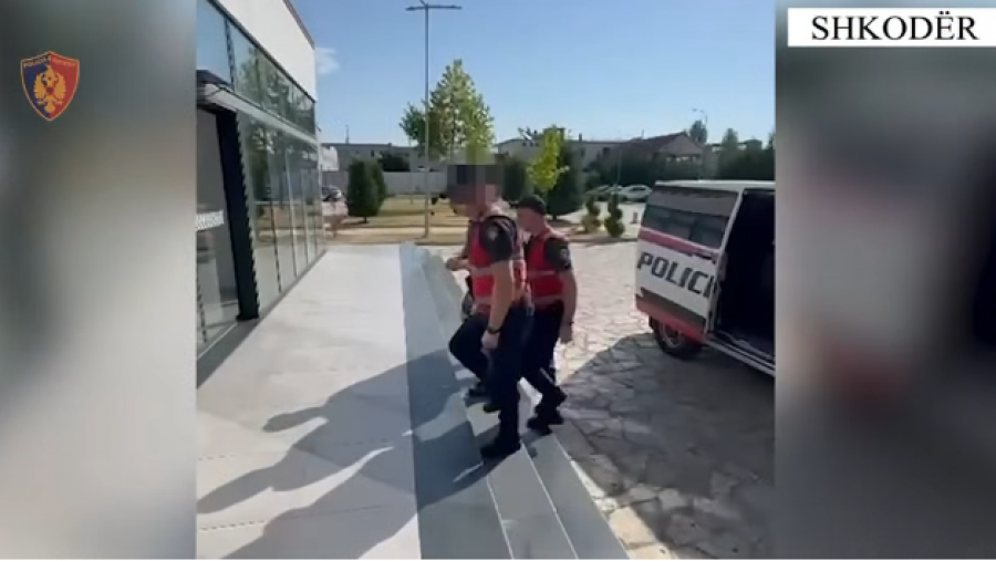 Automatik, pushkë dhe dy armë gjahu në banesë/ Policia e Shkodrës arreston 21-vjeçarin në Trush