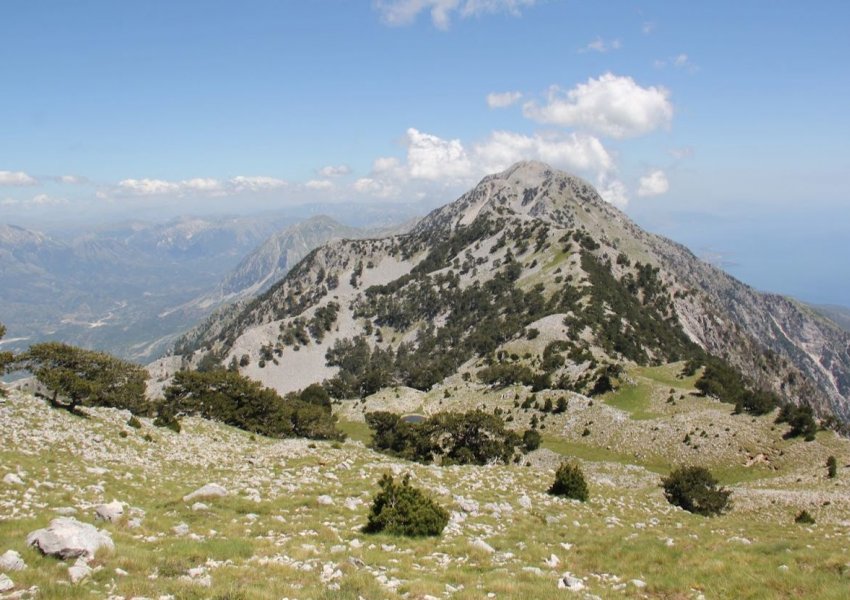 Pesë turistë gjermanë kërkojnë ndihmë në malin e Çikës