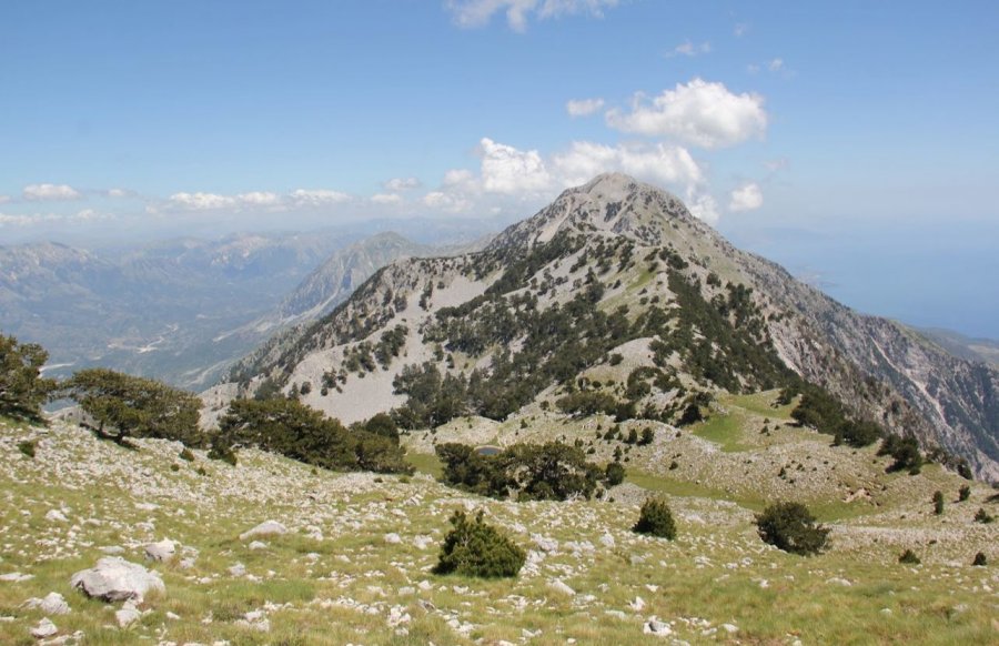 Pesë turistë gjermanë kërkojnë ndihmë në malin e Çikës
