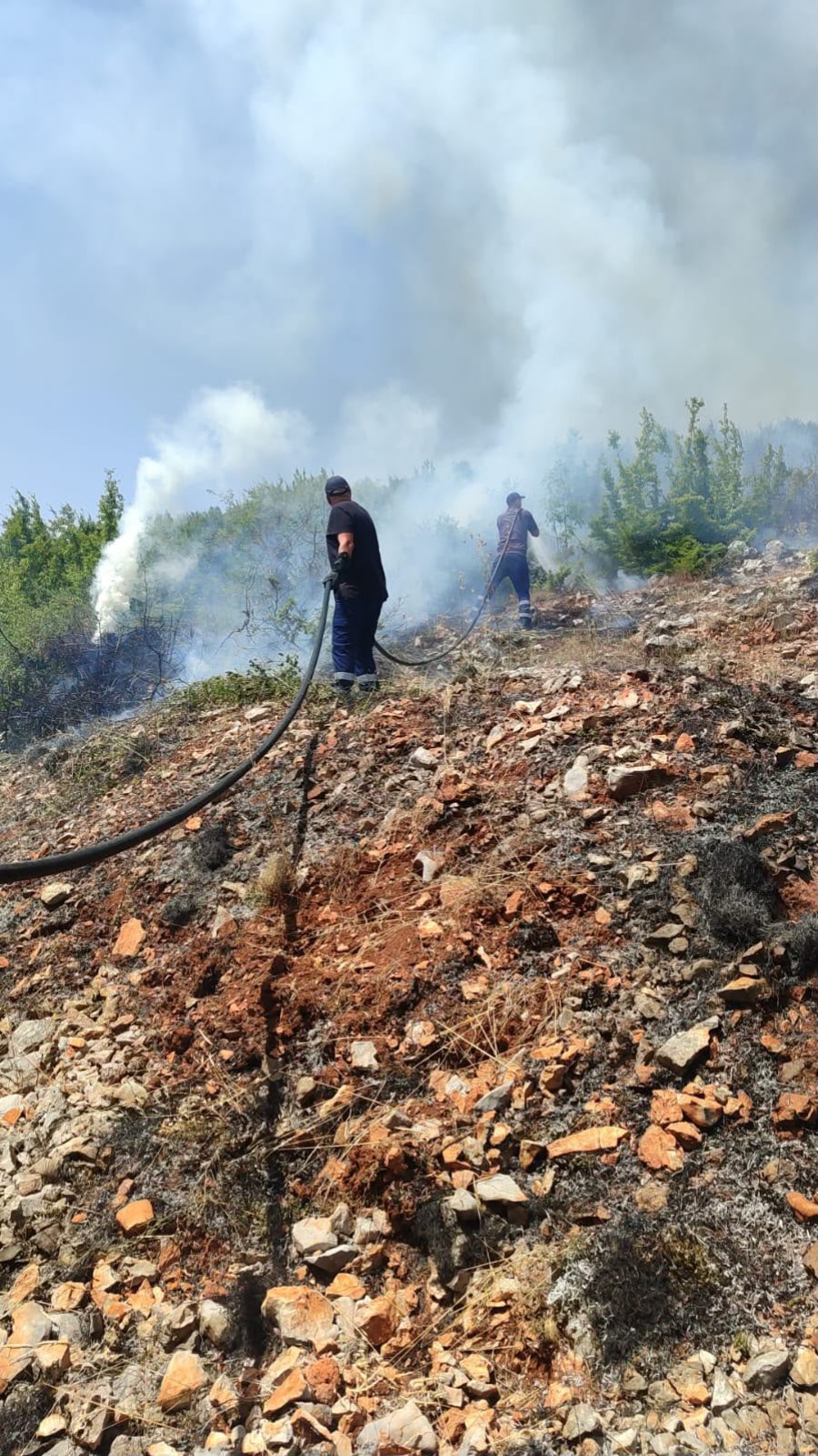 Zjarr i përmasave të mëdha në Qafë Thanë, flakët përhapen me shpejtësi