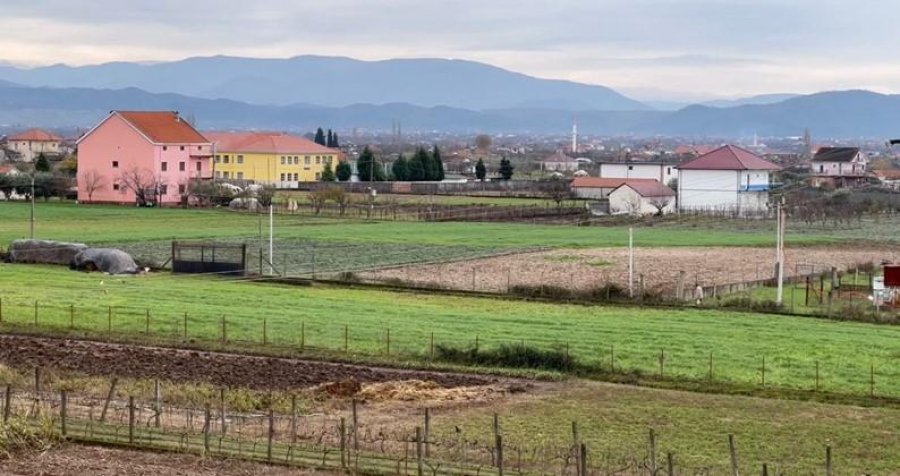 dy-ligje-qe-nuk-zgjidhin-problemet-reale-te-bujqesise-shqiptare