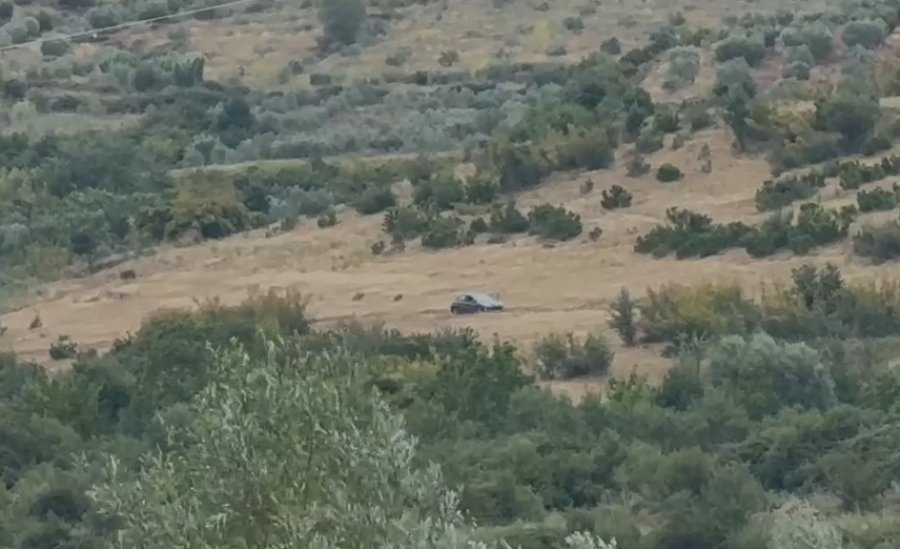 LIVE  Ngjarja e rëndë në Roskovec  Policia lokalizon autorin në fshatin Mbërz