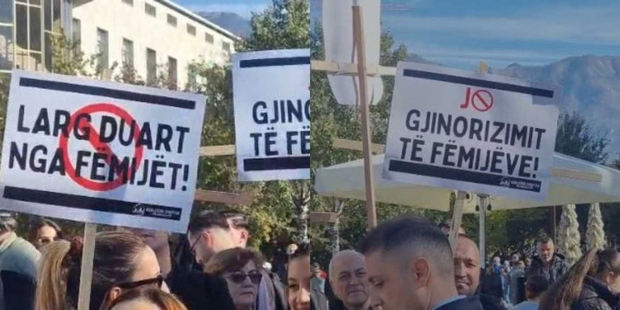 Protesta e Koalicionit për Familjen kundër terapisë hormonale, PD i bashkohet marshimit 'Për Jetën'