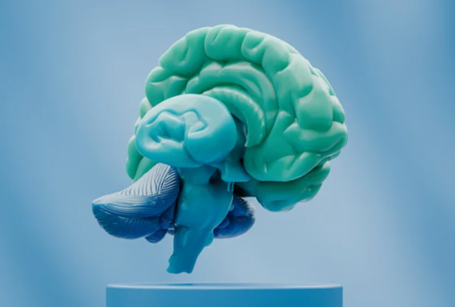 Sëmundja e Alzheimerit nuk përparon njësoj te të gjithë njerëzit