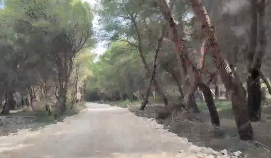 Hiqet totalisht gardhi rrethues në Zvërnec, shikoni pamjet 