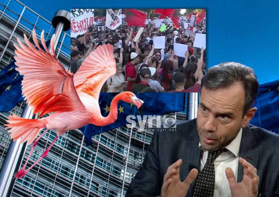 Liderët europianë të jenë me flamingot shqiptarë! 