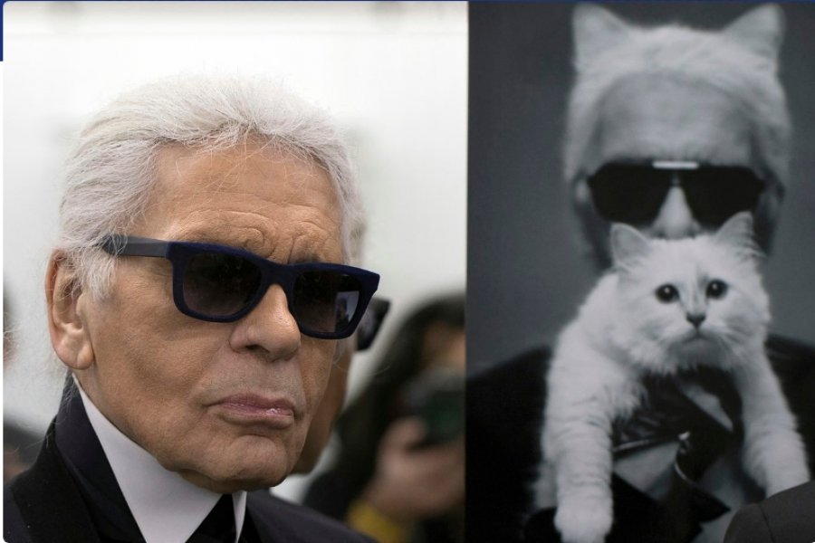 Kujdestari pretendon  Macja e Lagerfeld nuk ka marrë asnjë qindarkë nga trashëgimia deri më sot