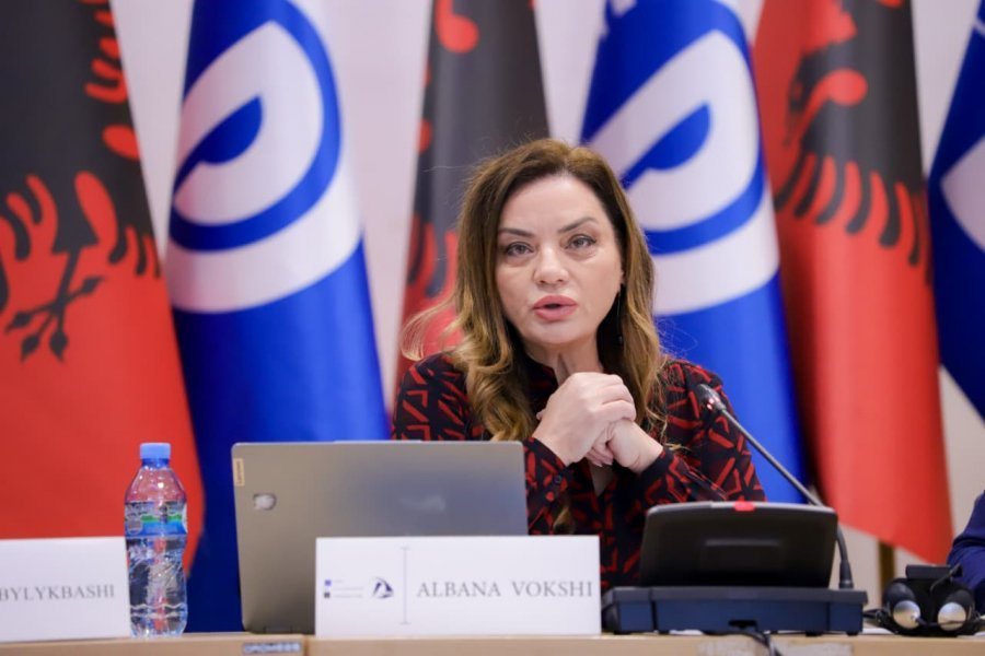 Vokshi: Shqipëria ka bashkuar votën me Serbinë në një deklaratë të përbashkët ku Kosova nuk ekziston