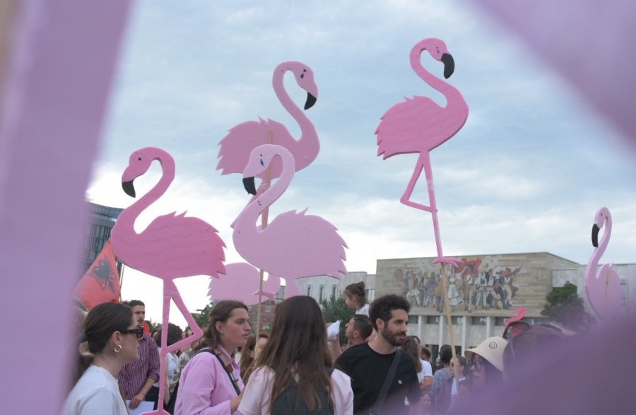  Përvojë transformuese   Si po i përqafojnë turistët e huaj protestat në Shqipëri