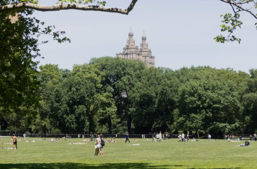 Ekrani gjigant në Central Park për finalen e Botërorit, priten 50 mijë banorë të Nju Jorkut