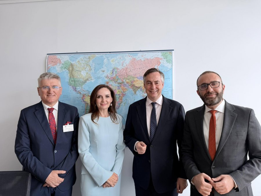 Deputetët e PD në Parlamentin Europian, takojnë McAllister: Integrimi europian kërkon reforma reale