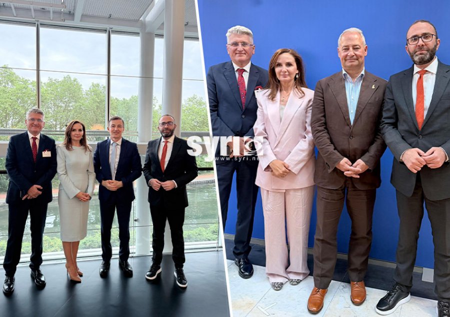 ‘Problemet me zgjedhjet, korrupsioni, krimi i organizuar’/ Deputetët e PD në PE, takime me Raporterët për Shqipërinë