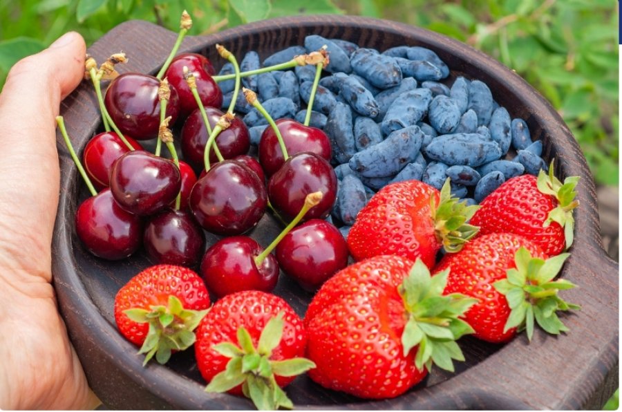 Jo të gjitha frutat janë njësoj të shëndetshme  Shkencëtarët kanë zbuluar se cilat lloje e mbrojnë më shumë zemrën