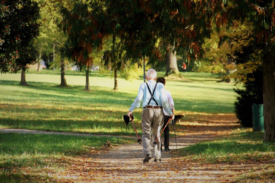 Nga shpejtësia te qëndrueshmëria: Si e ndryshon plakja mënyrën se si ecim