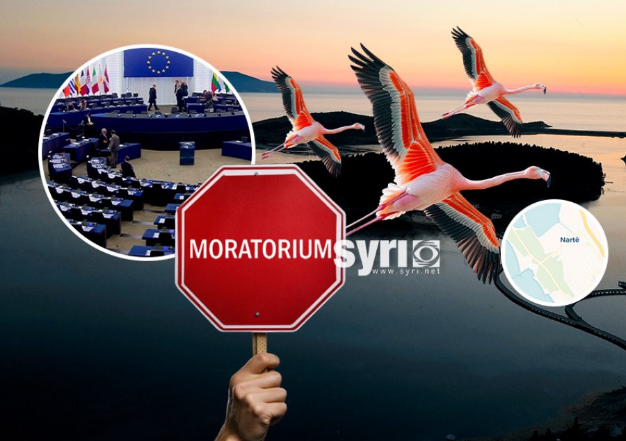 Parlamenti Europian kërkon moratorium të menjëhershëm për zhvillimet në Vjosë Nartë 
