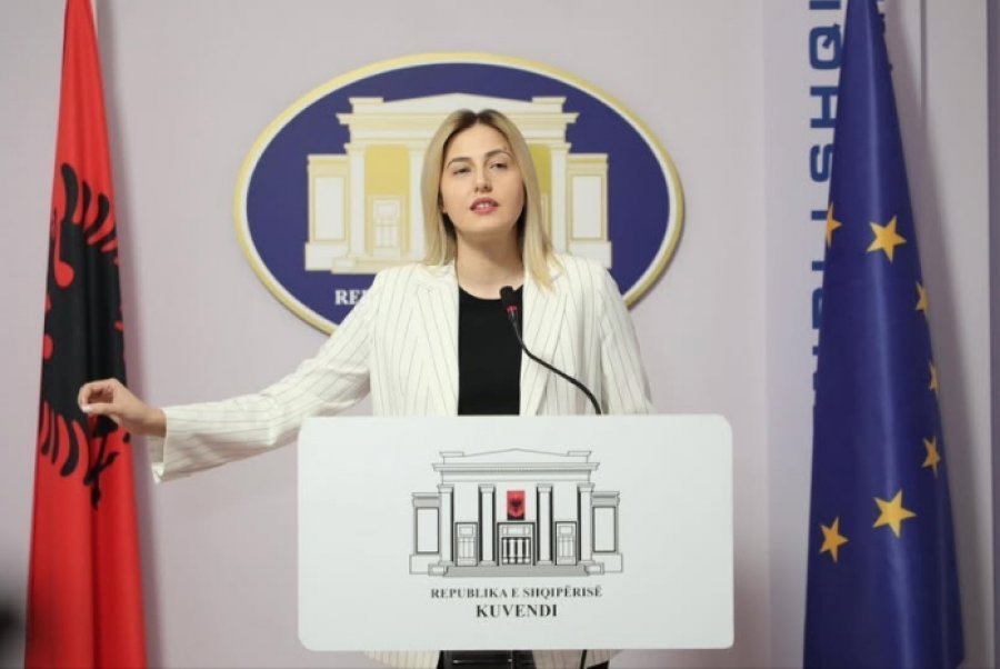 Aeroporti i Vlorës, Zhupa: ‘Mallkimi i flamingove’ zuri aksionerët, ‘revolucioni i flamingove’ do marr para qeverinë