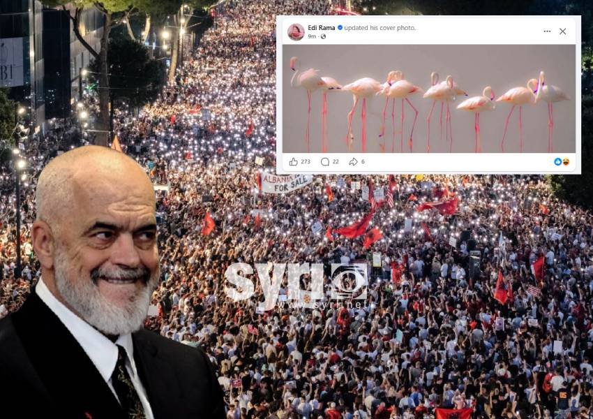Rama në panik, fillon punë si ‘Algoritëm’: Bëhet flamingo