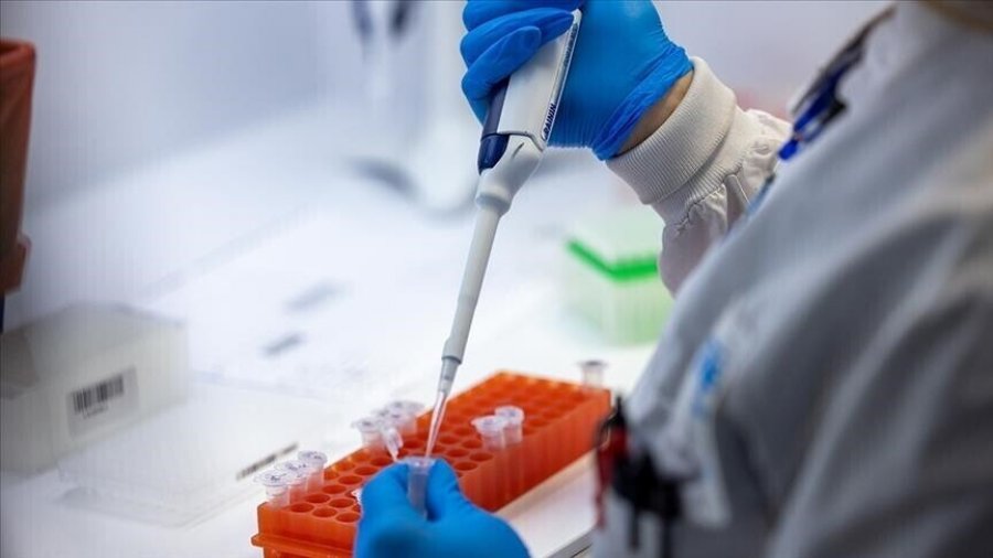 Shpërthimi i dengës në Sri Lanka arrin nivel epidemie pasi rastet kalojnë 50.000