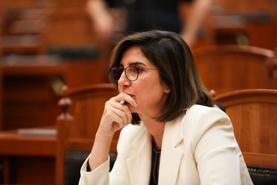 Greta Bardeli: Protestuesit rrëmbehen në mes të ditës nga njerëz që veprojnë në shërbim të Edi Ramës